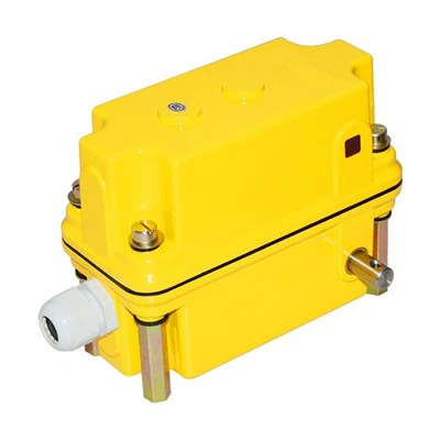 Interruptor de límit de grua